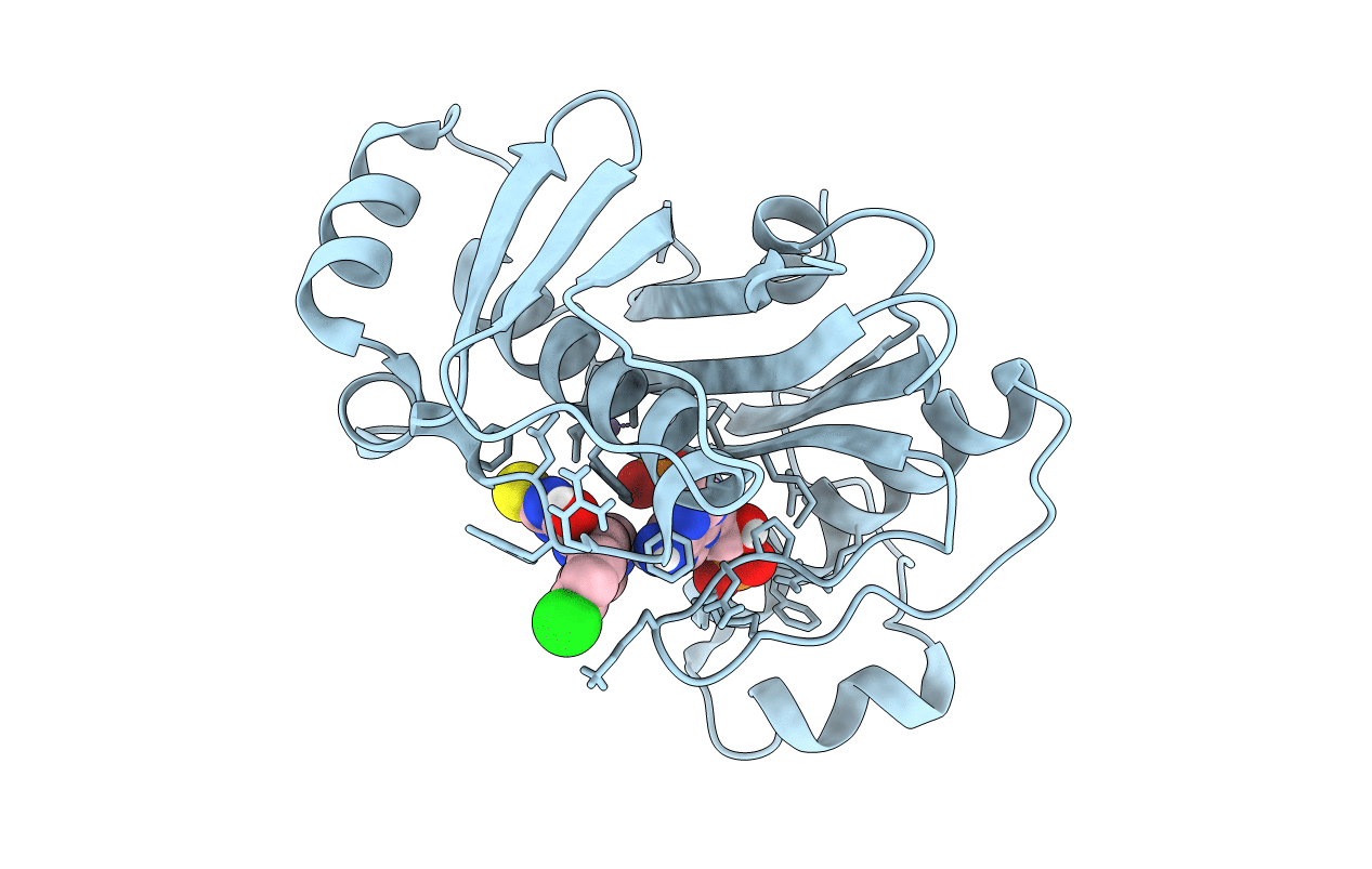 7B4S image