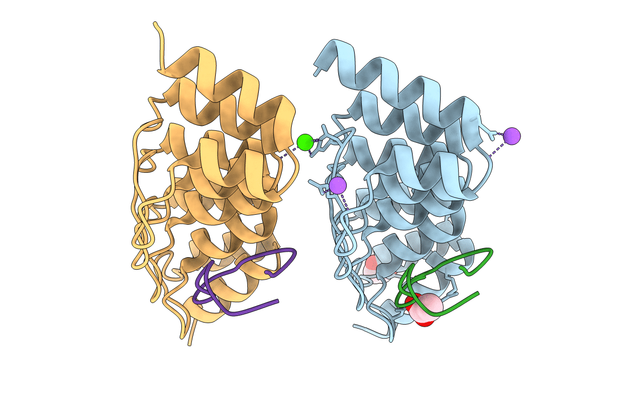7B4W image