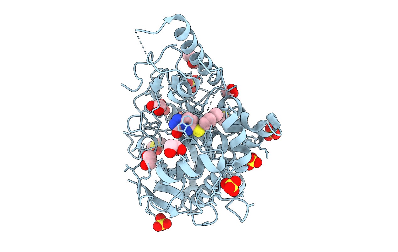 7B4X image