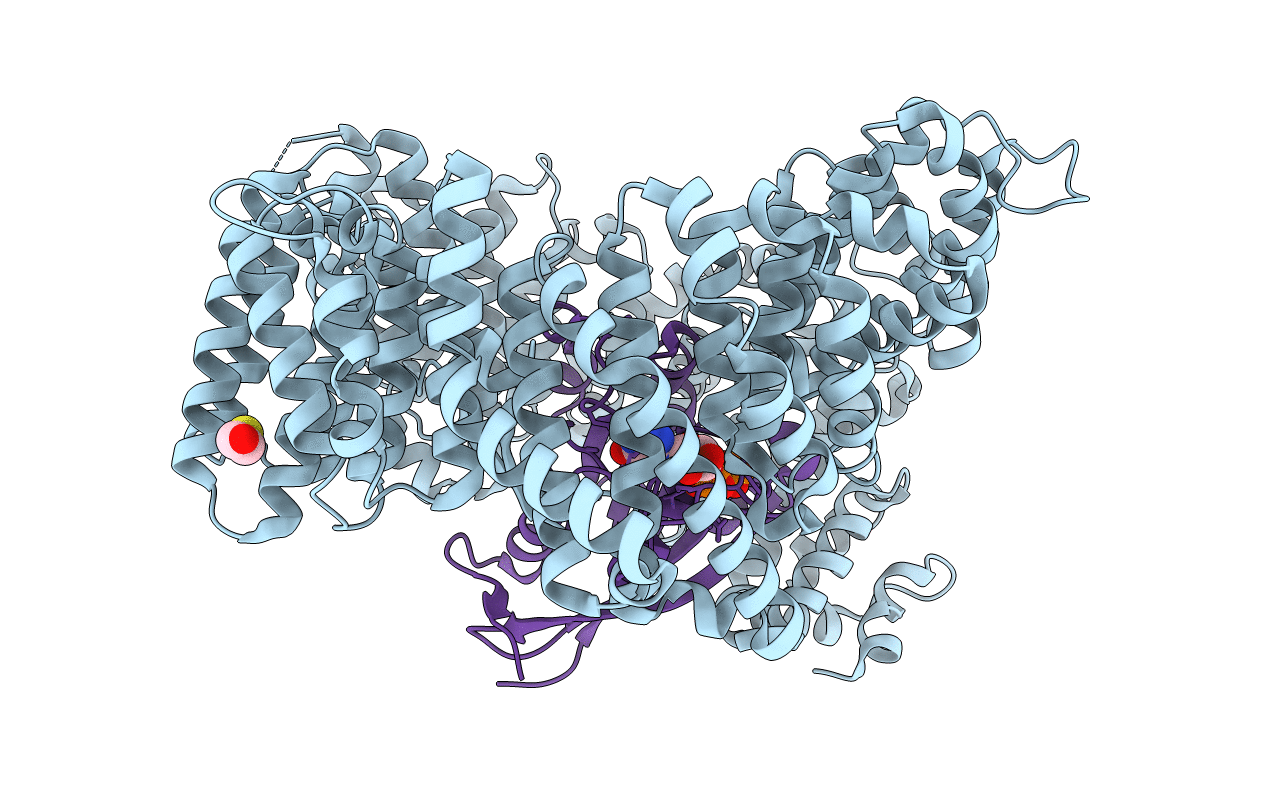 7B51 image