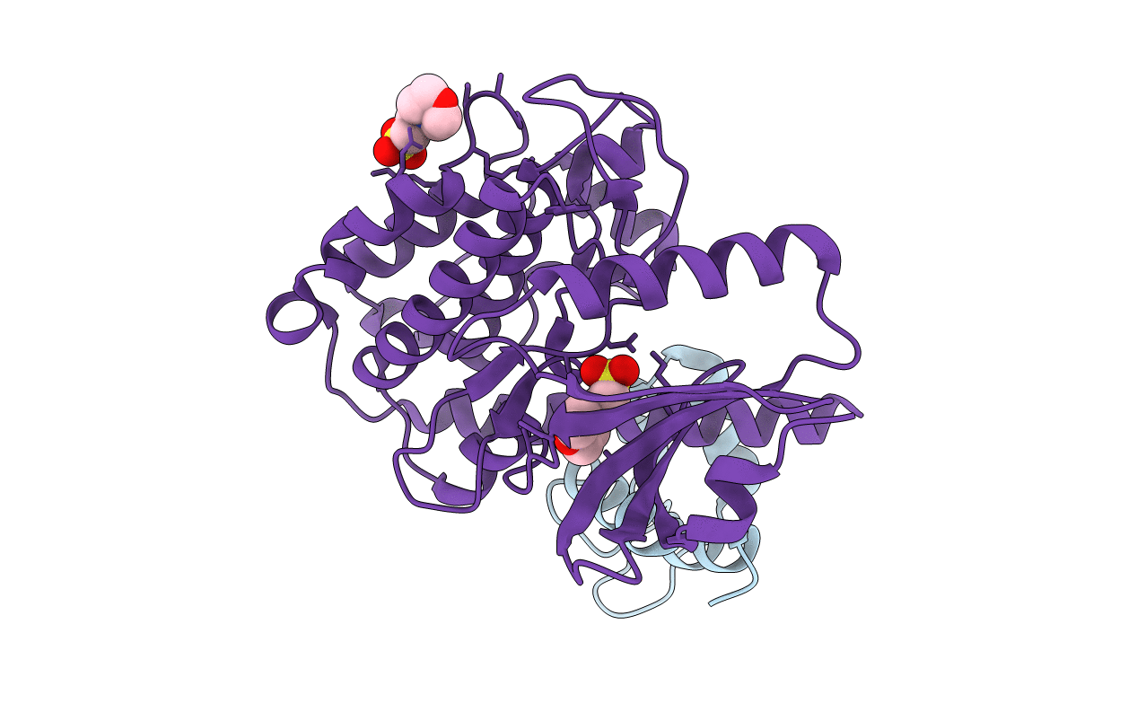 7B55 image