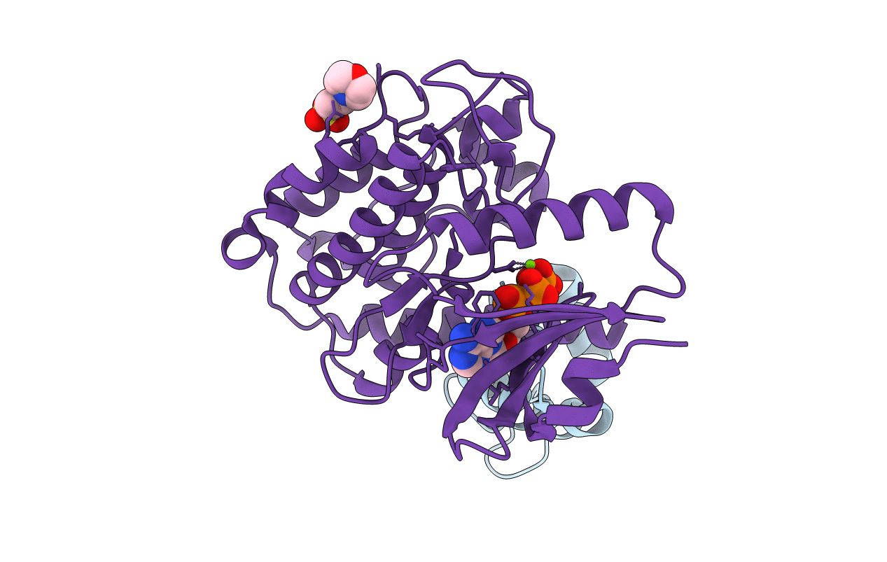 7B56 image