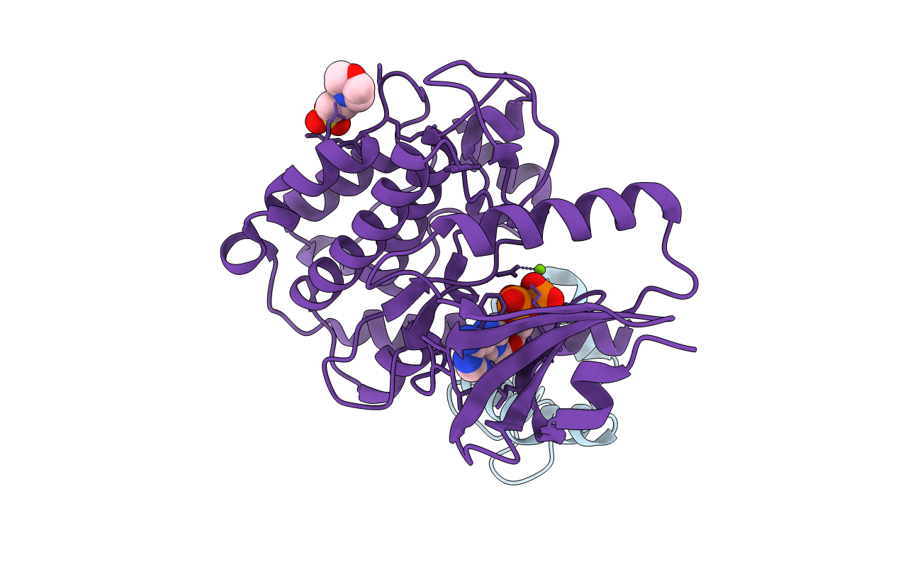 7B57 image