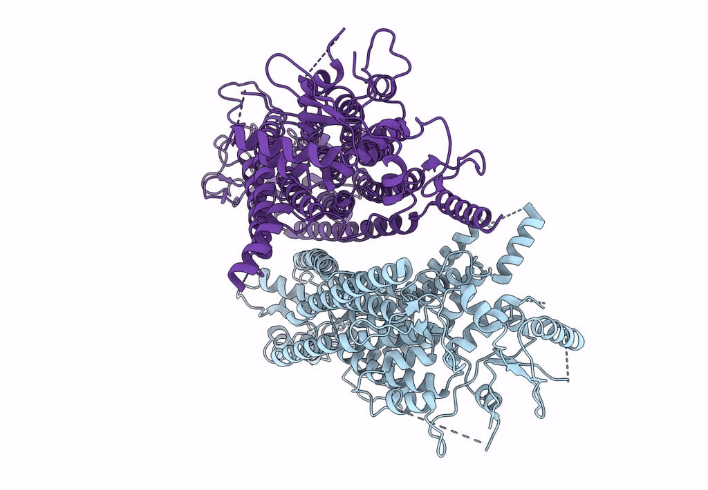 7B5D image