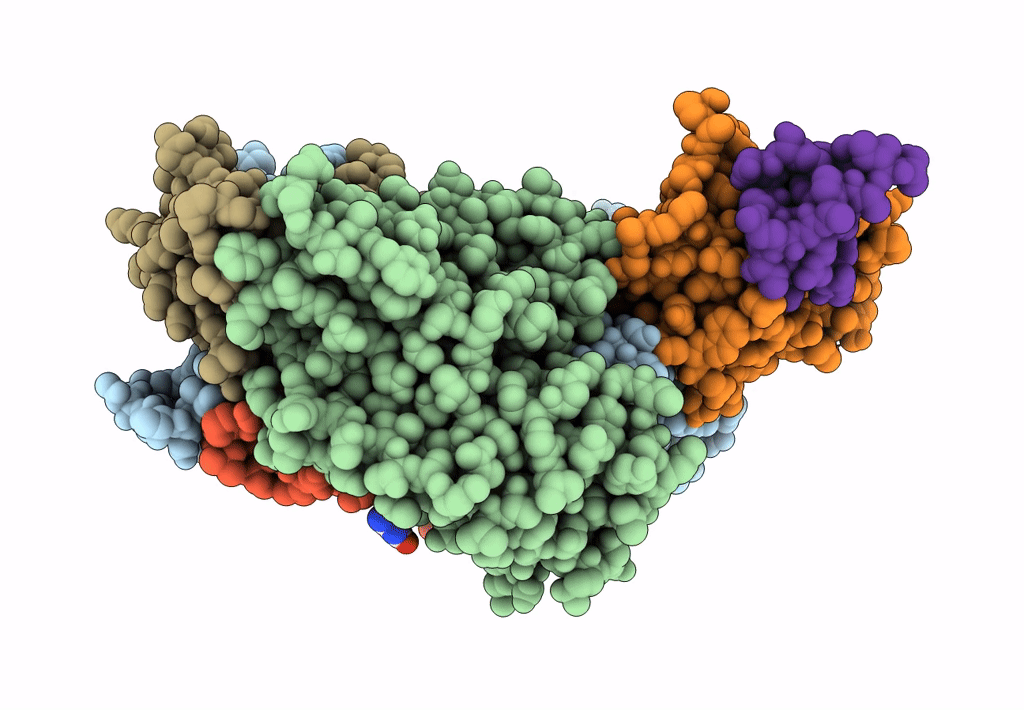 7B5F image