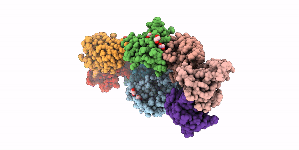 7B5G image