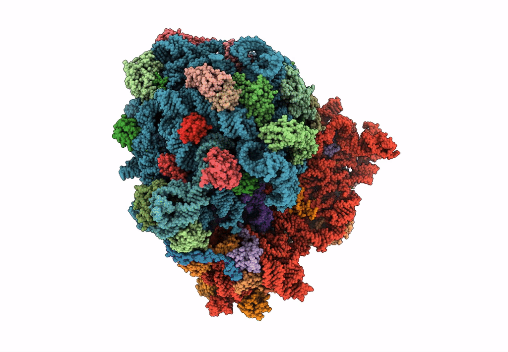 7B5K image
