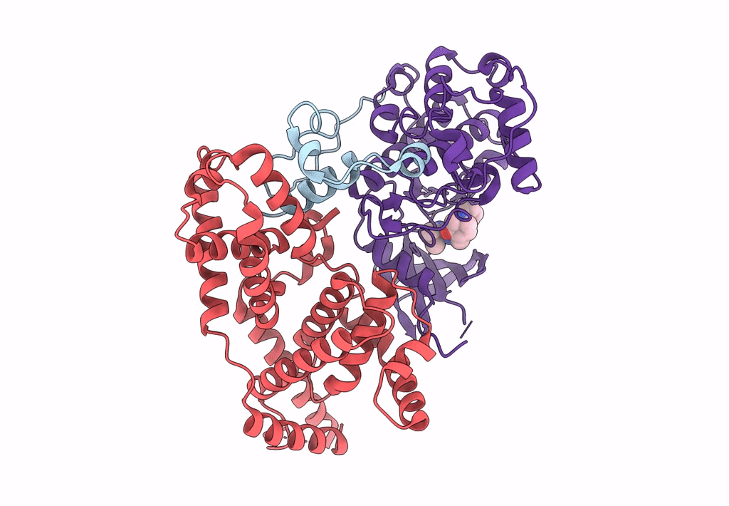 7B5O image