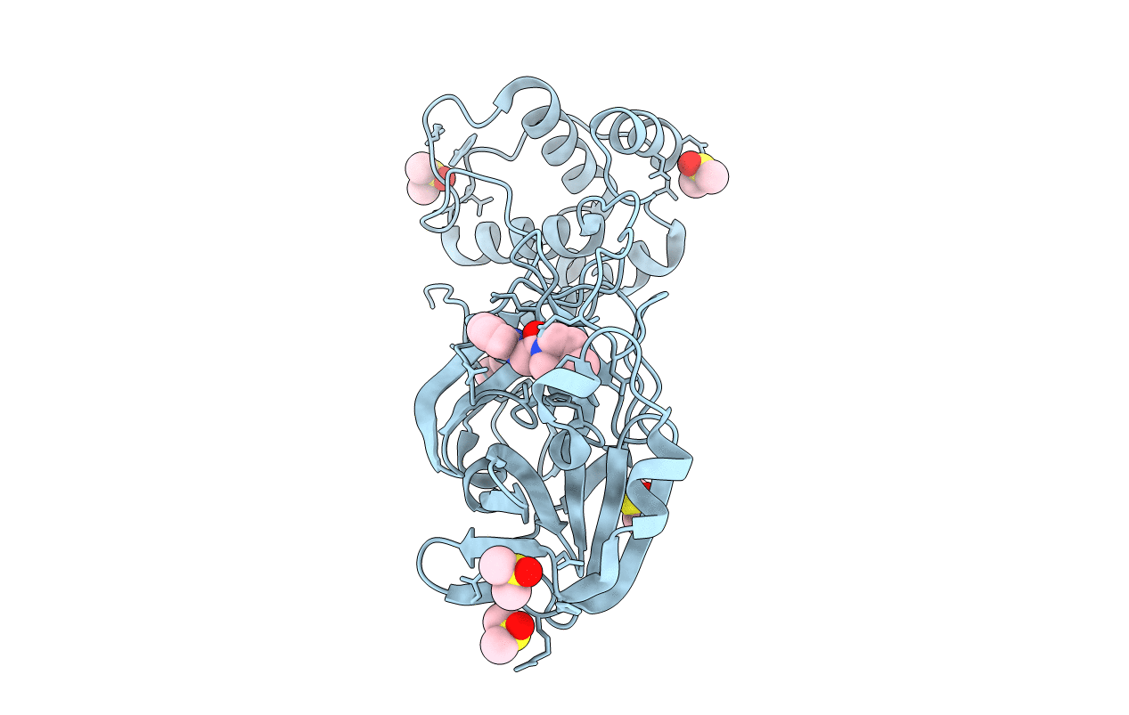 7B5Z image