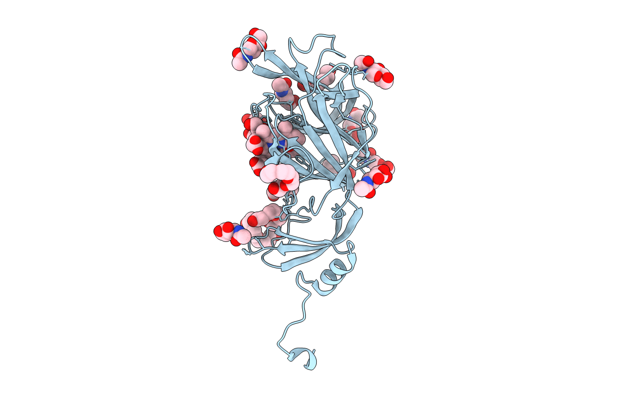 7B62 image