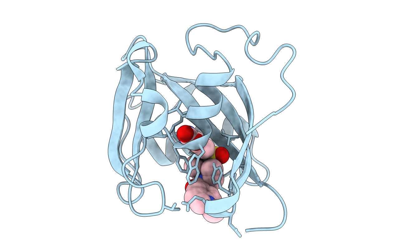 7B64 image