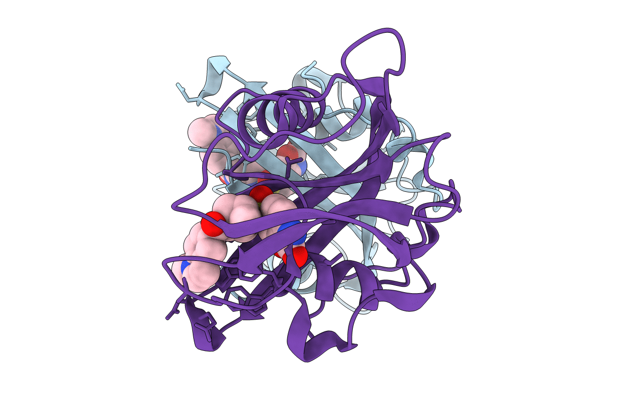 7B65 image