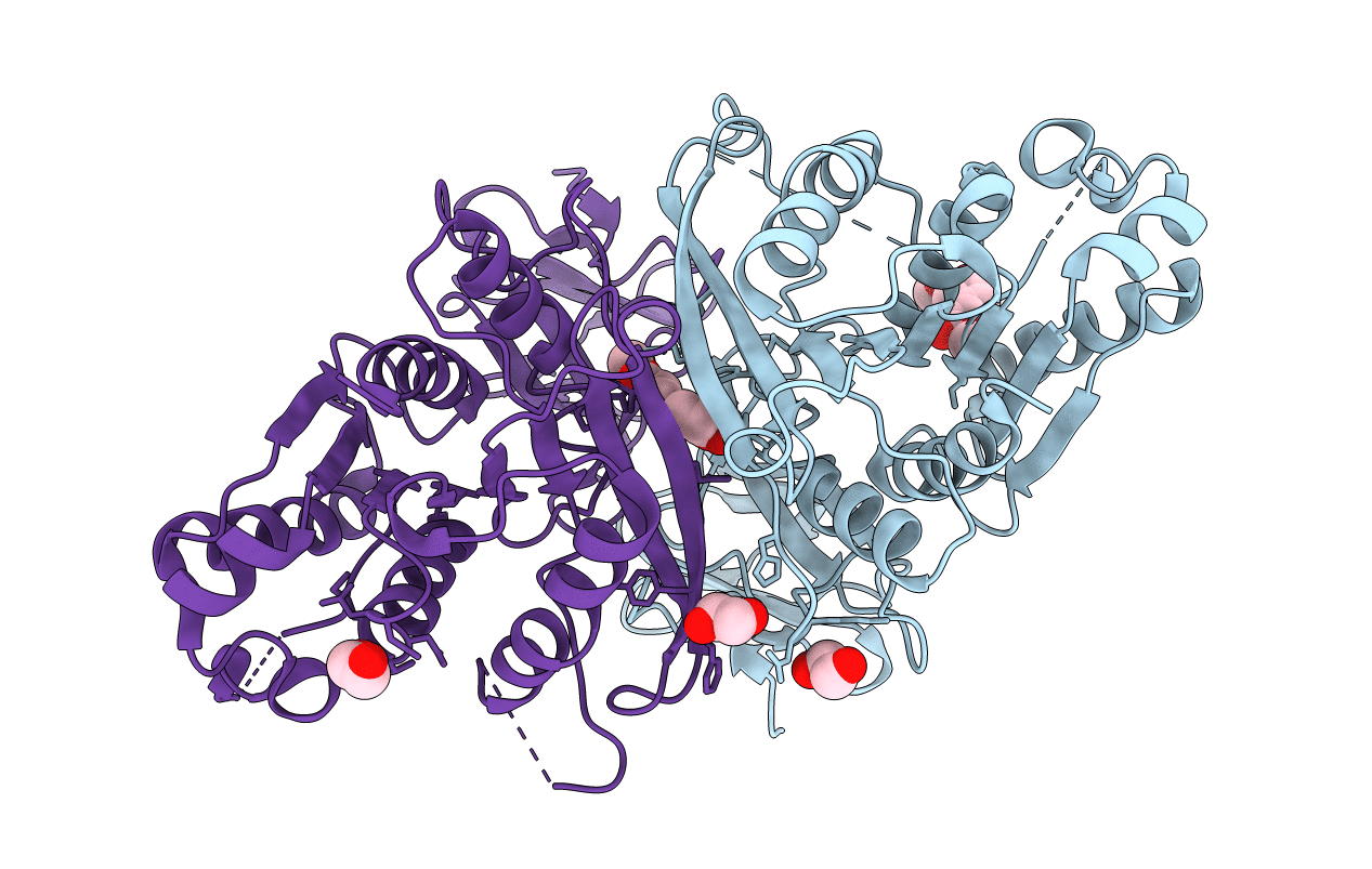 7B6B image
