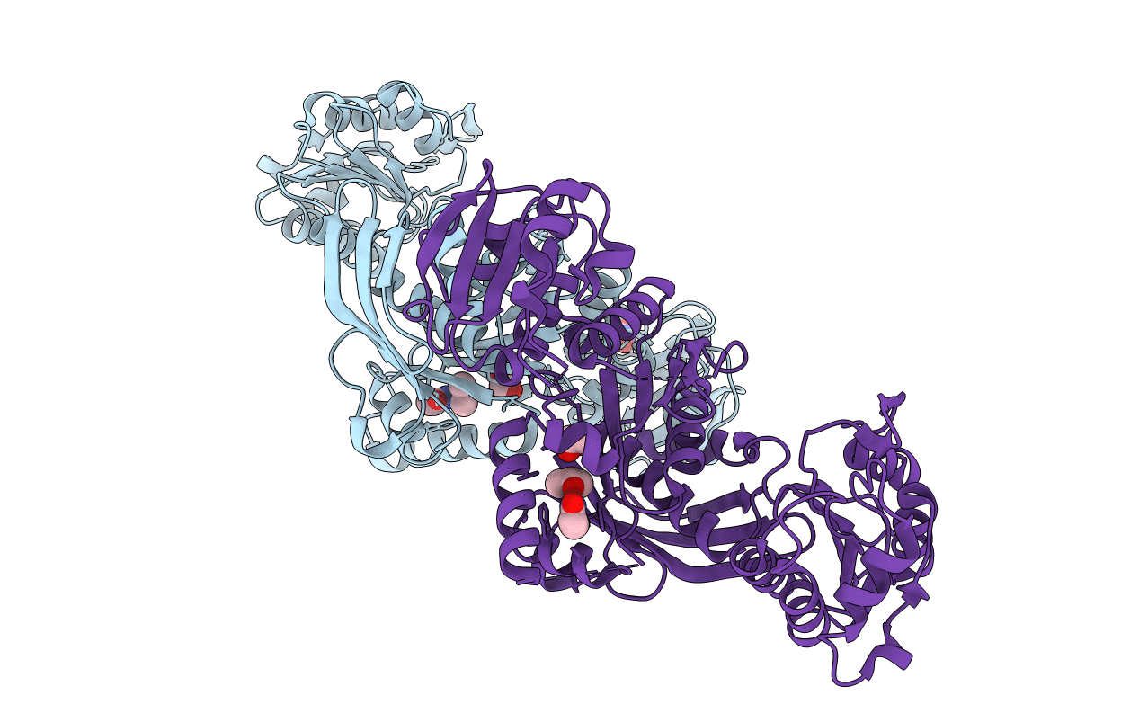 7B6J image