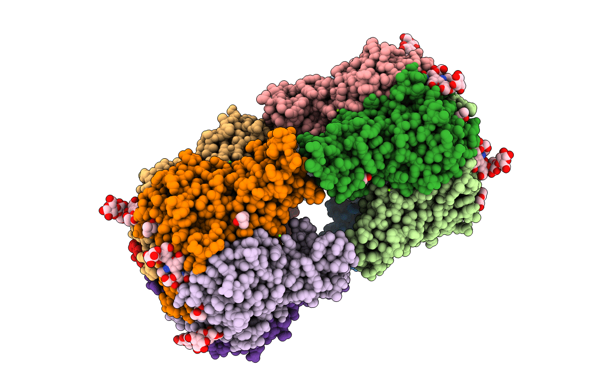 7B6S image