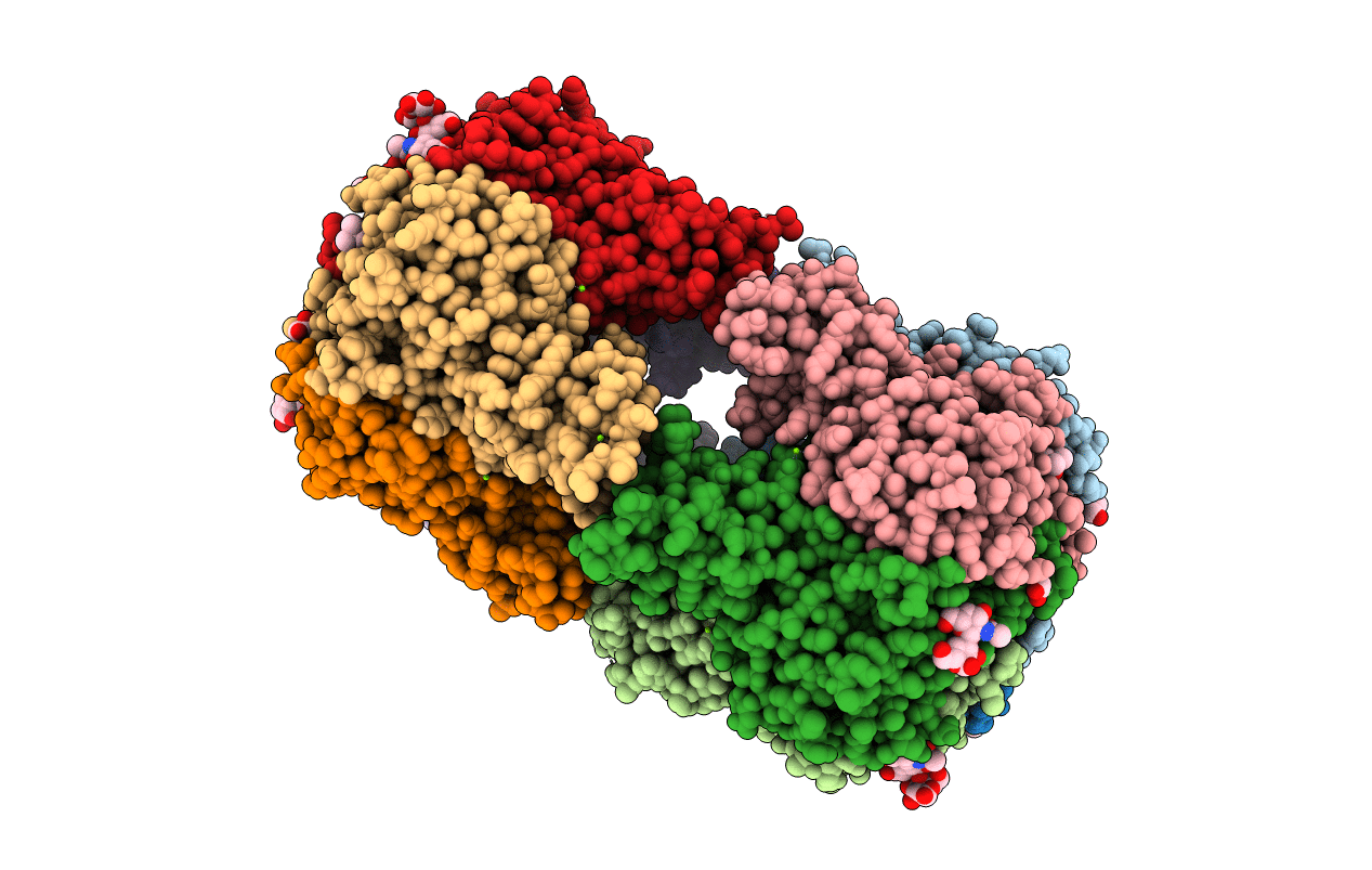 7B6T image