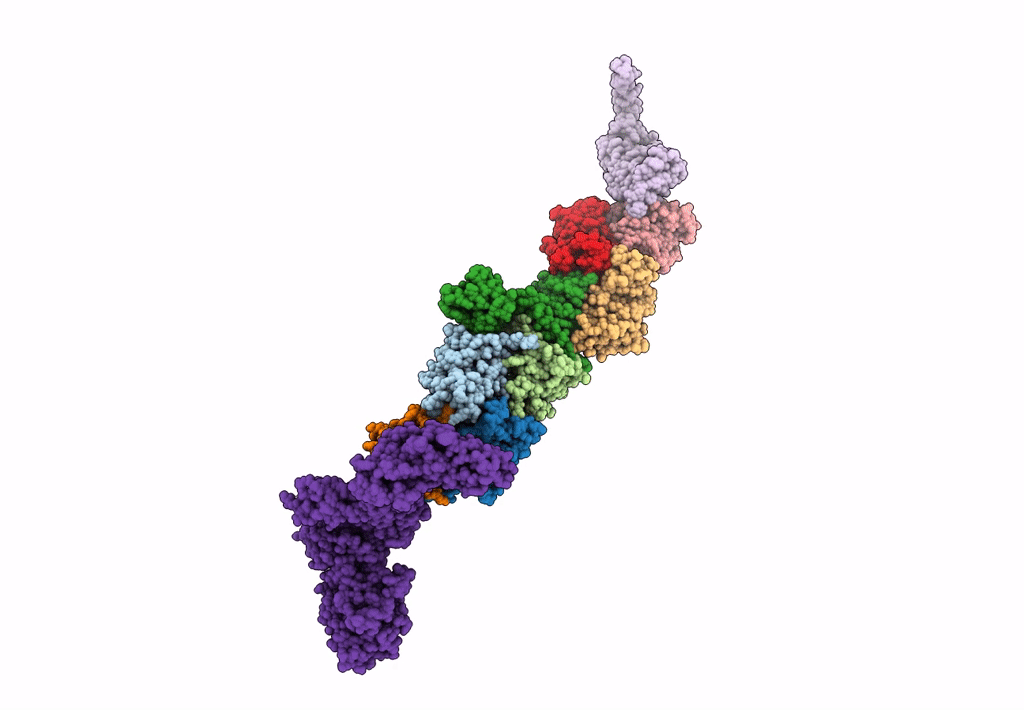 7B70 image