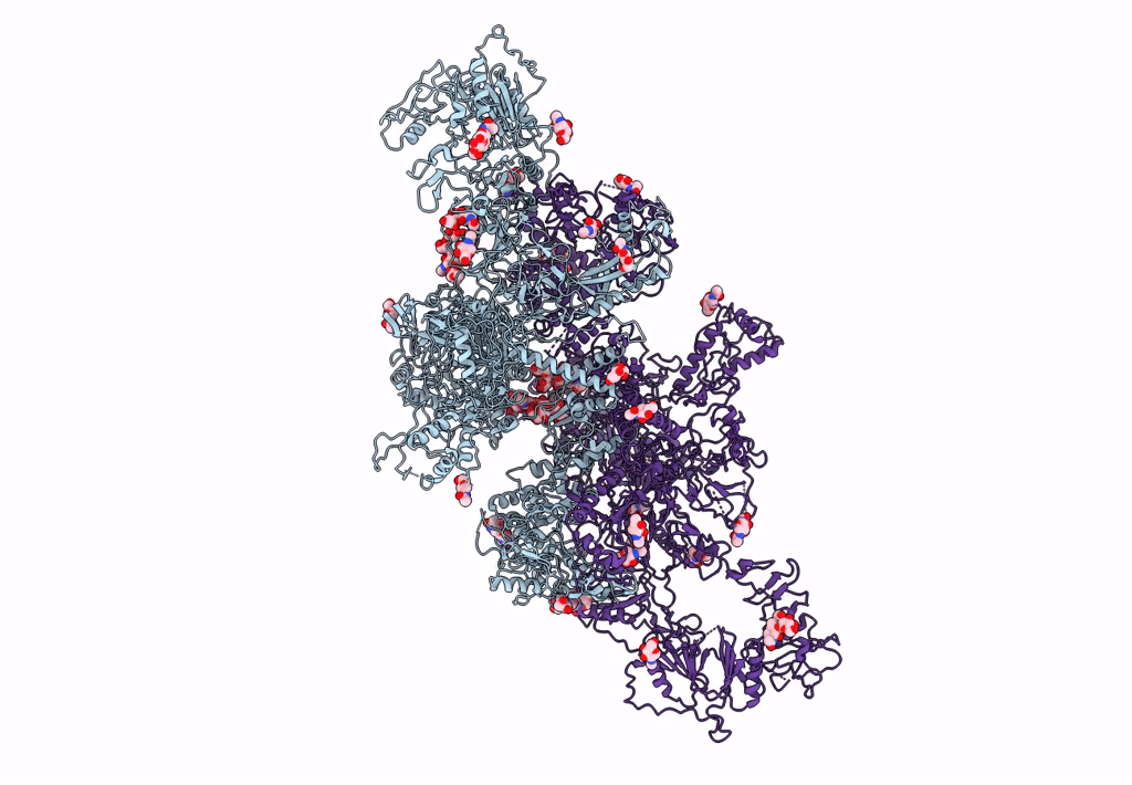 7B75 image
