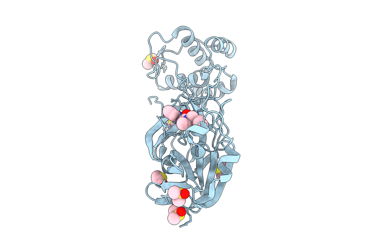 7B77 image