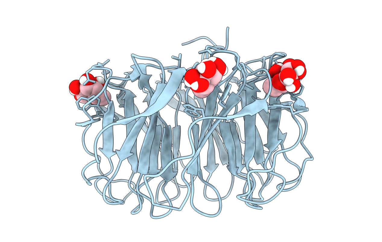 7B7C image