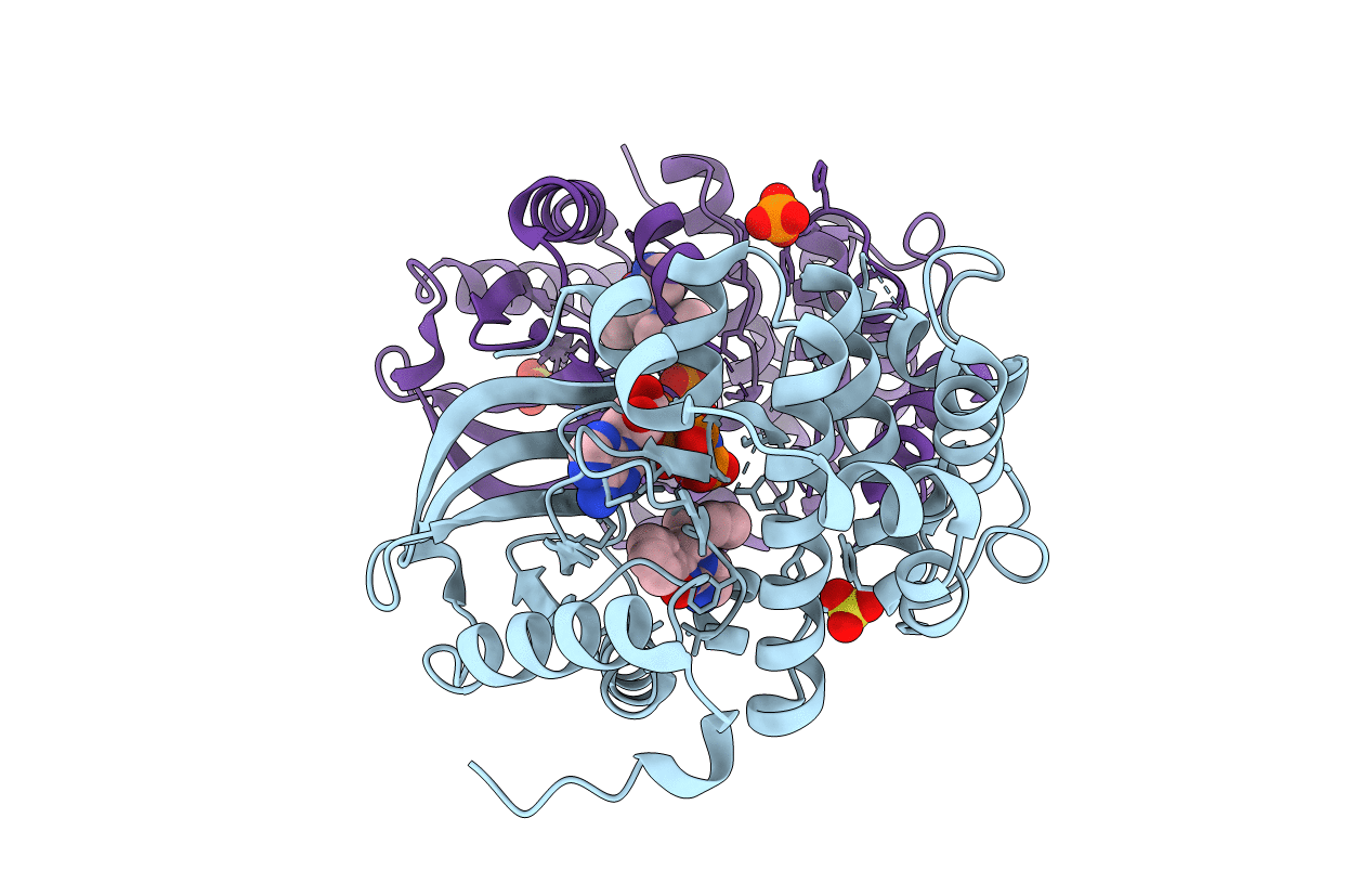 7B7R image