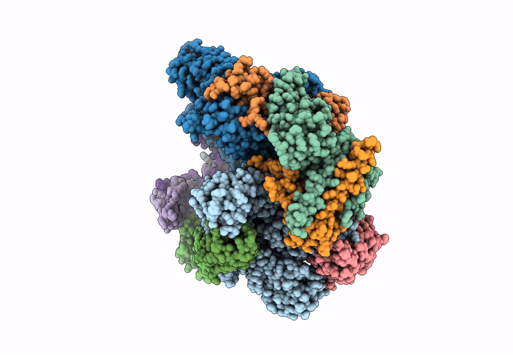 7B7U image