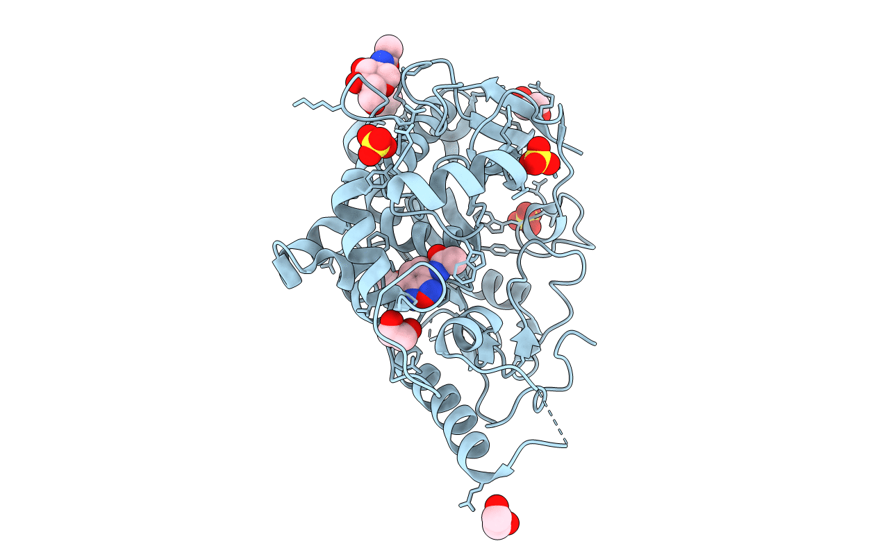 7B7X image
