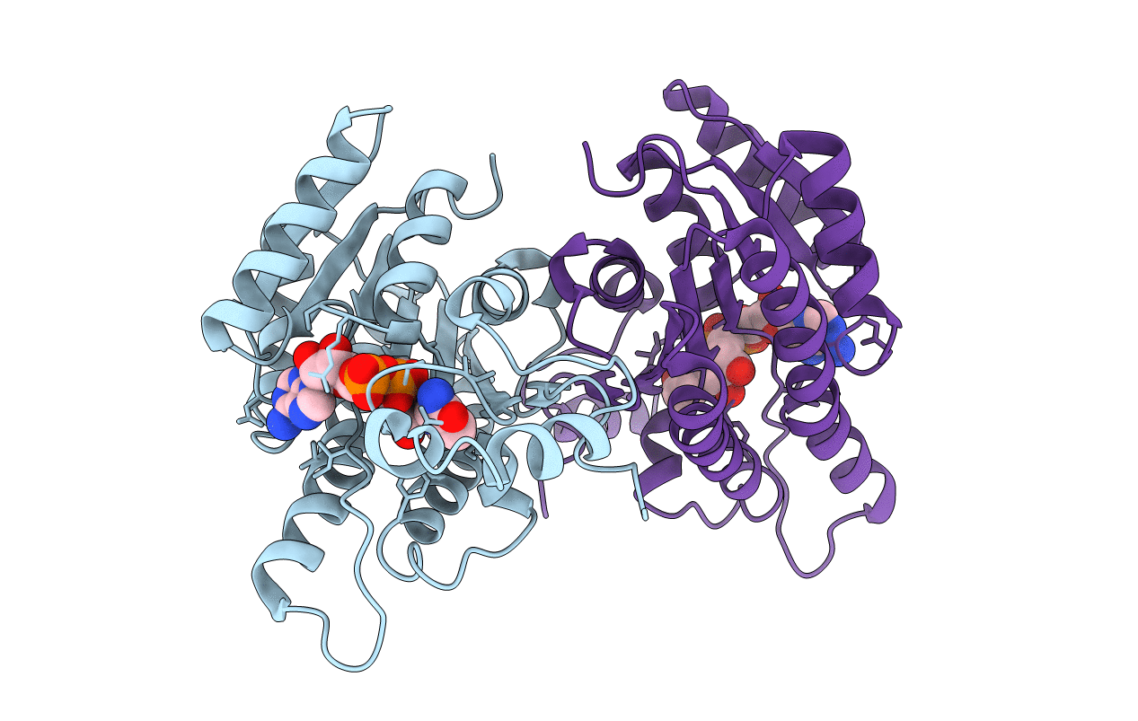 7B81 image