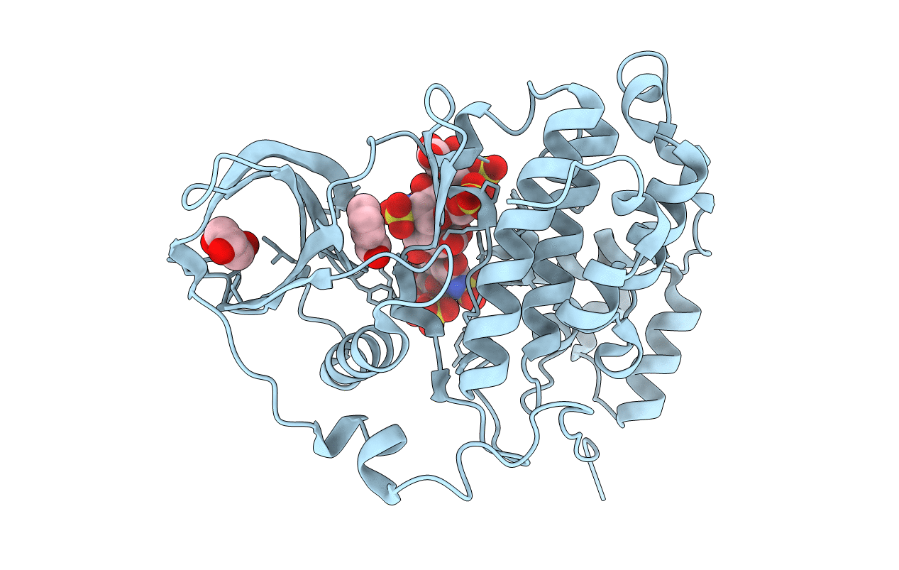 7B8H image