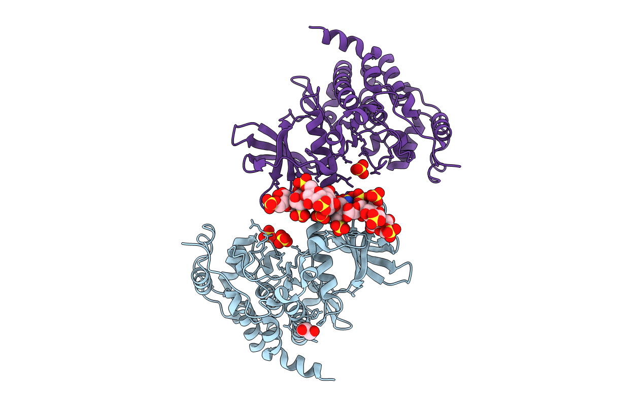 7B8I image