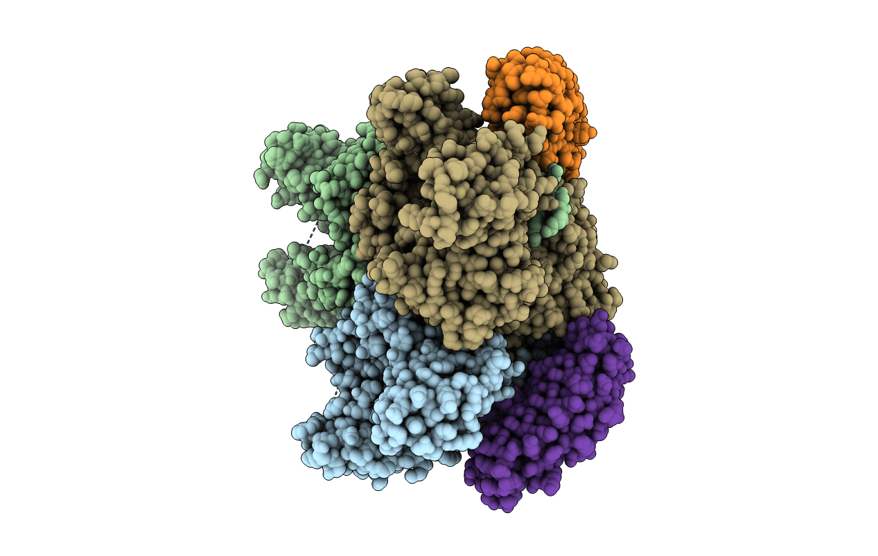 7B8T image