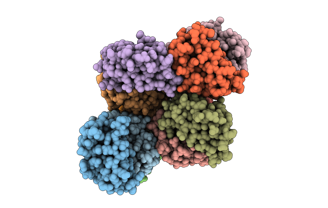 7B8V image