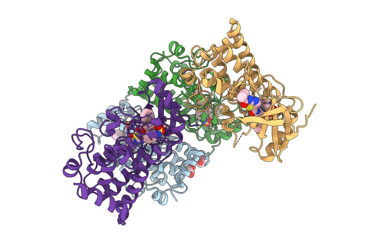 7B8W image