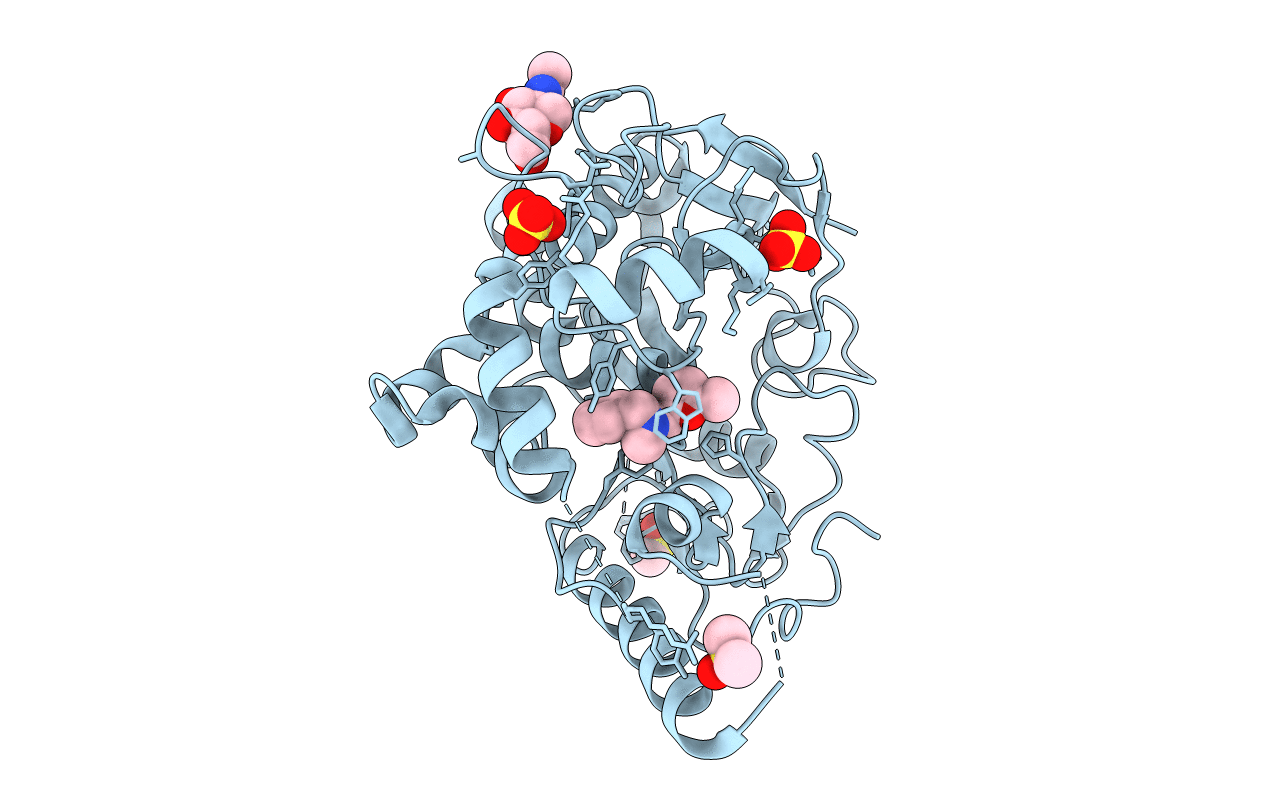 7B8X image