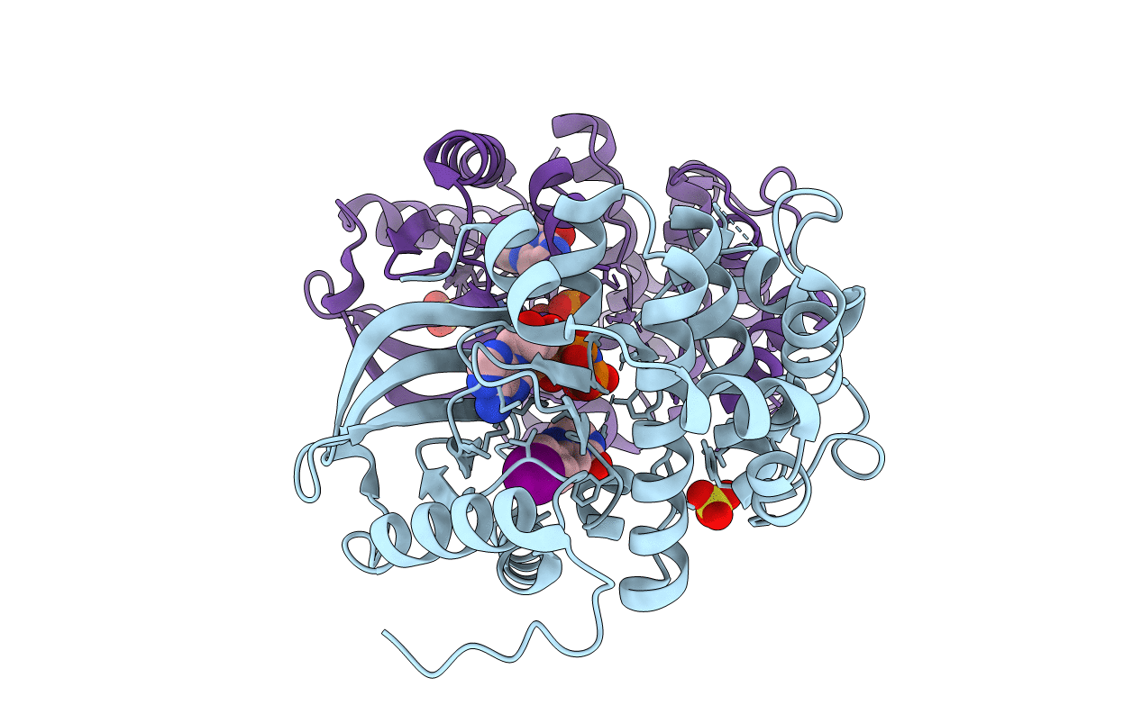 7B94 image