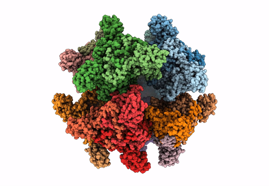 7B9K image