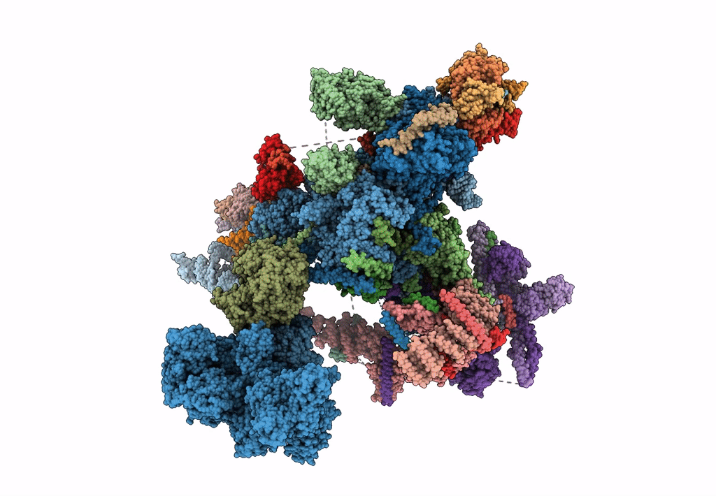 7B9V image