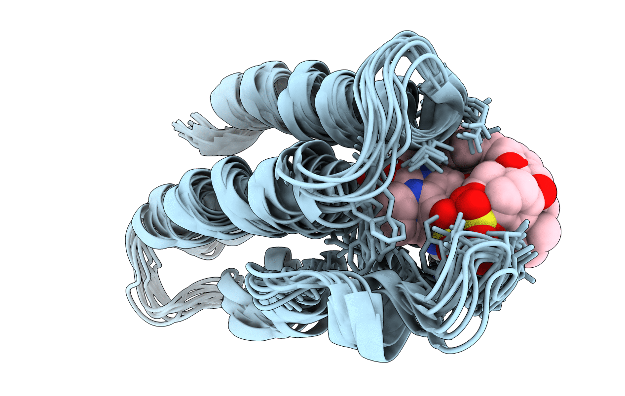 7B9X image