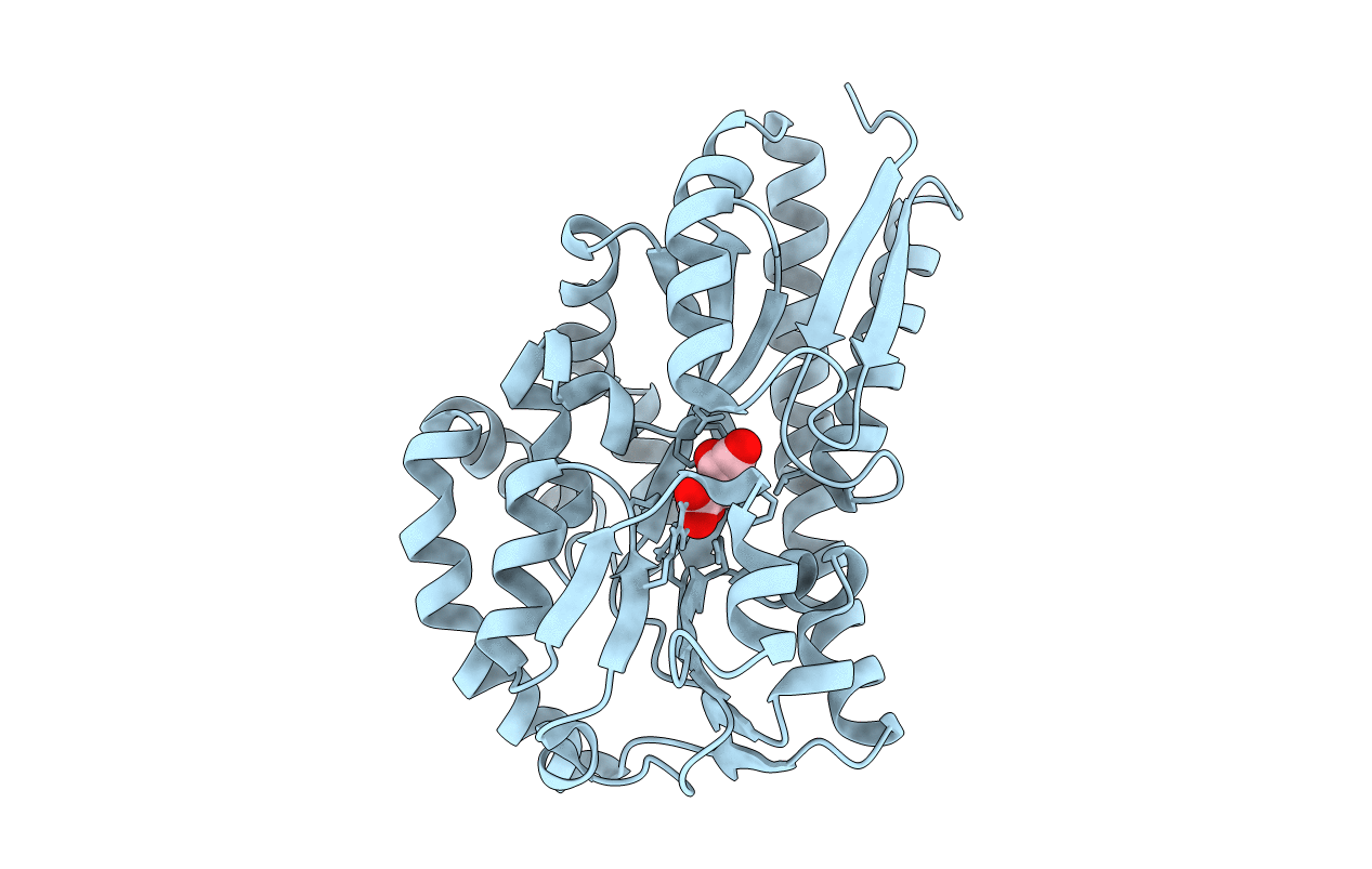 7BCN image