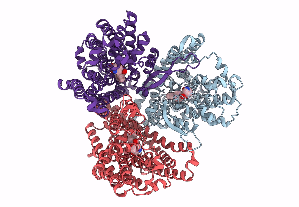 7BCS image