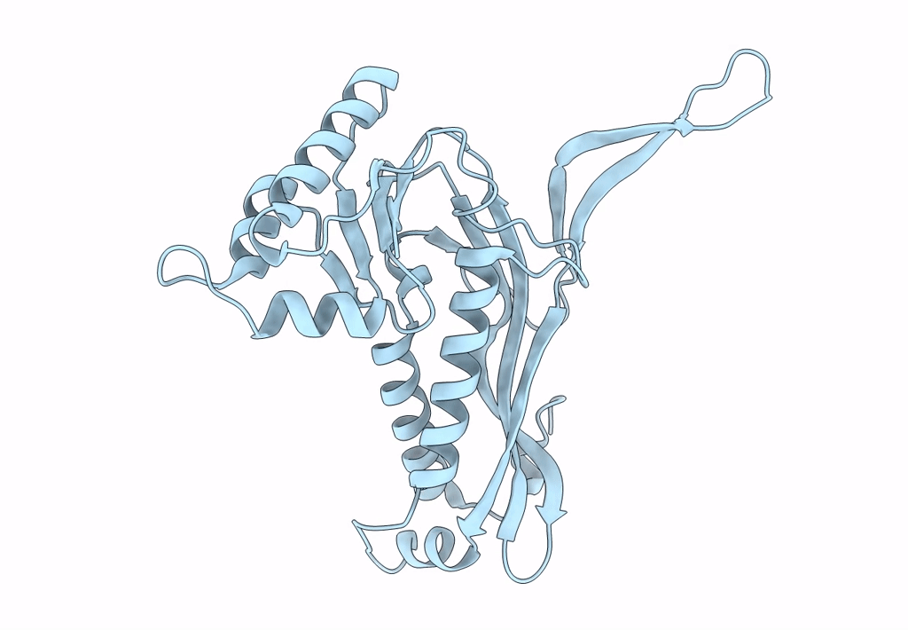 7BCV image