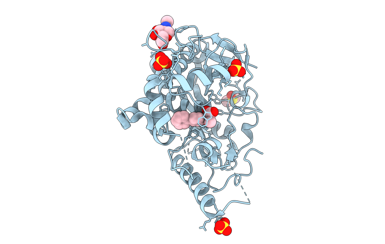 7BDD image