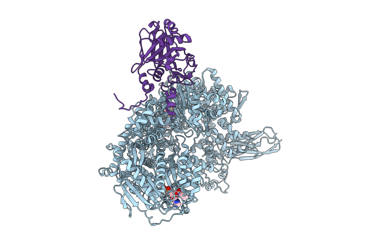 7BDL image