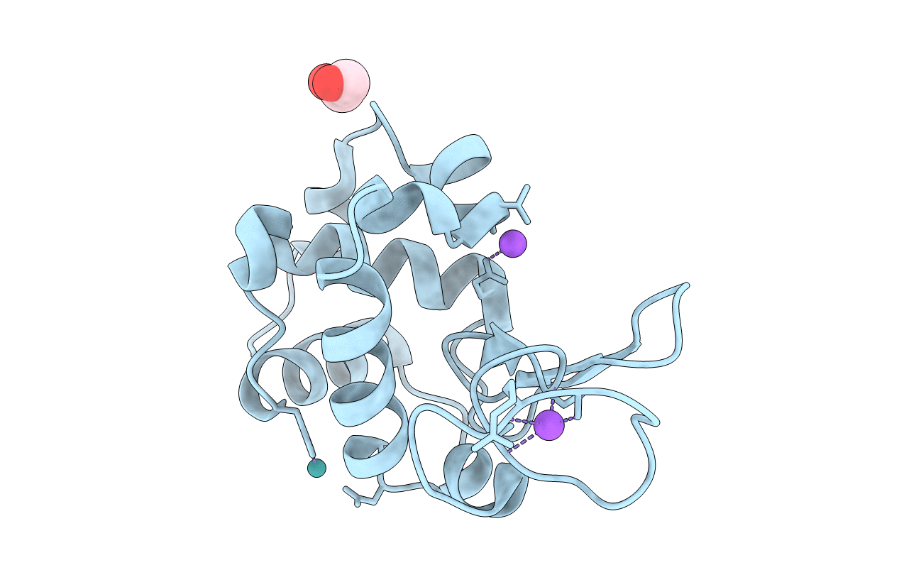 7BDM image