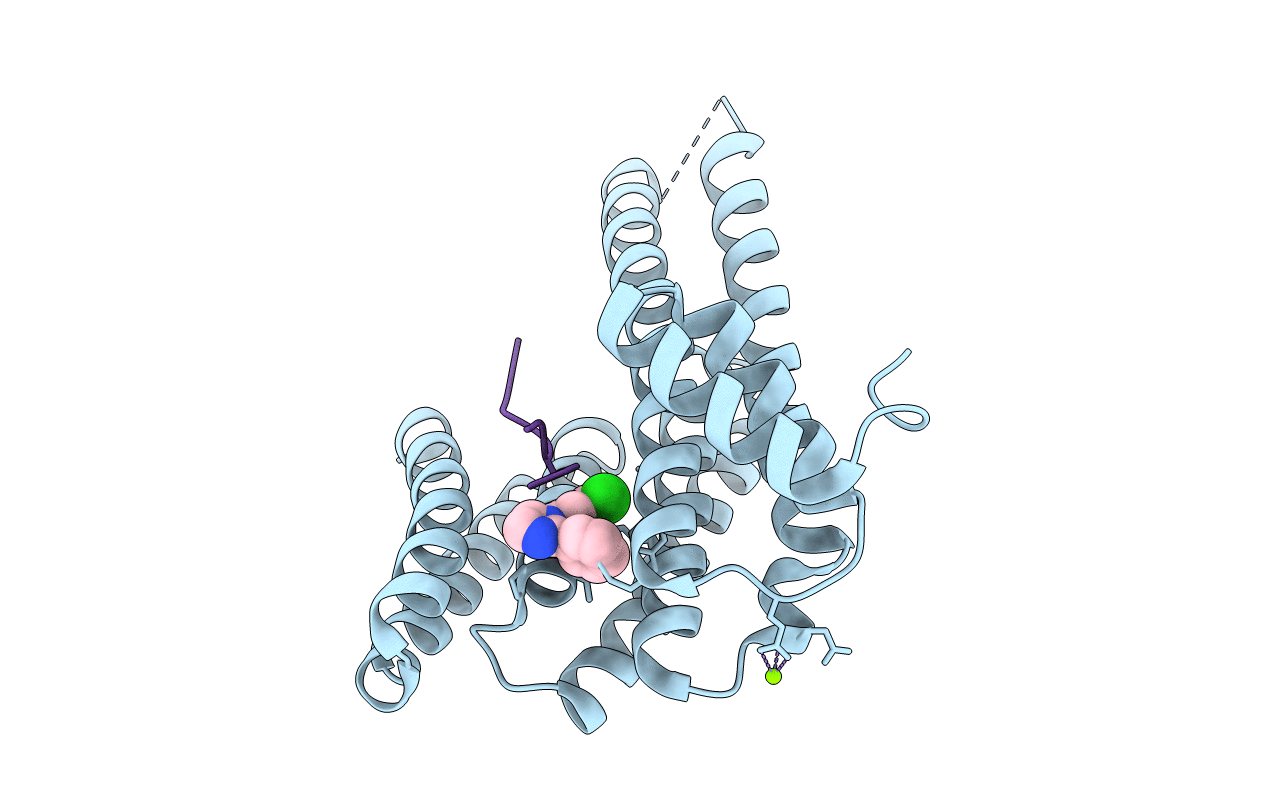 7BDP image