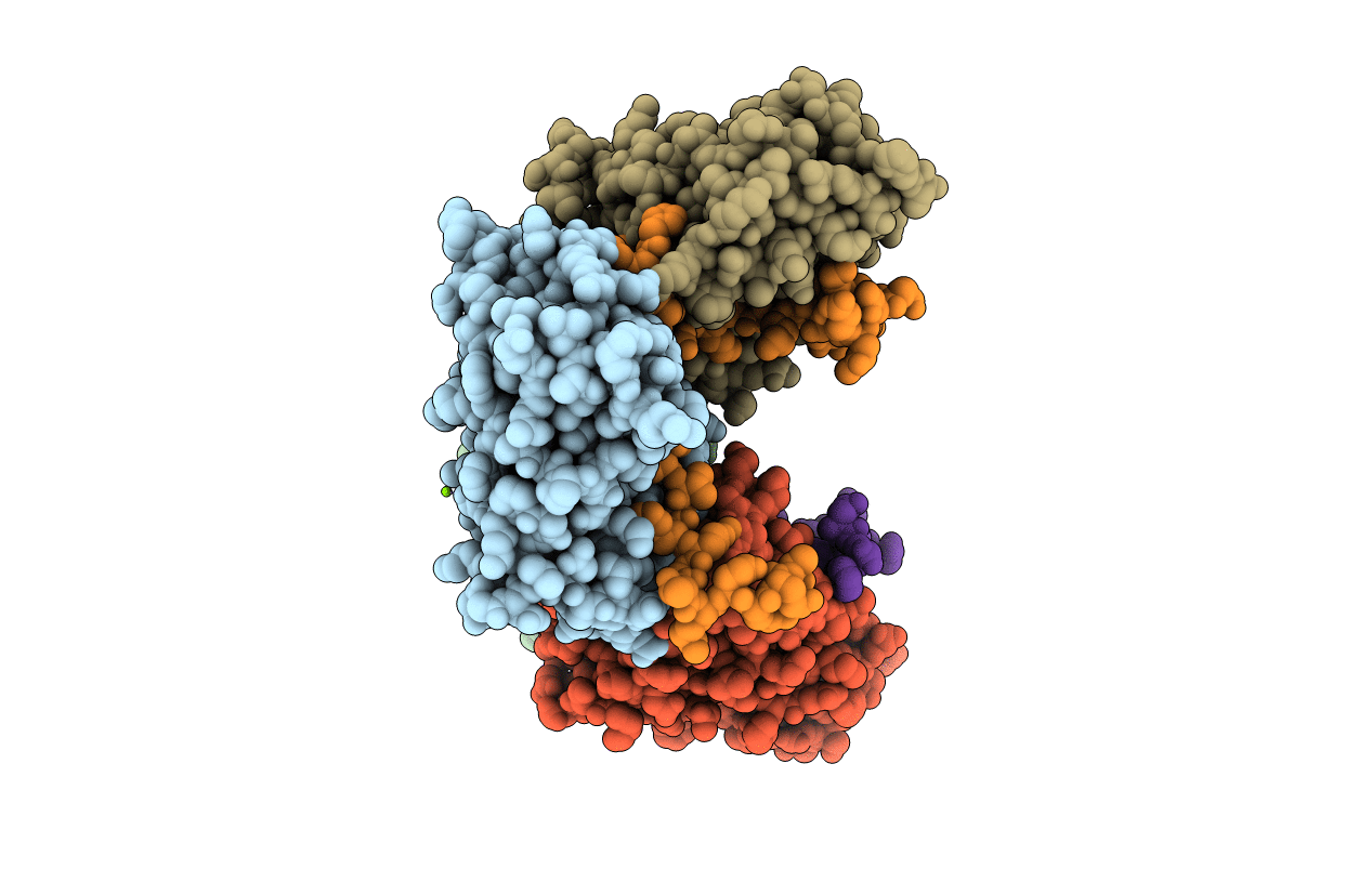 7BDX image