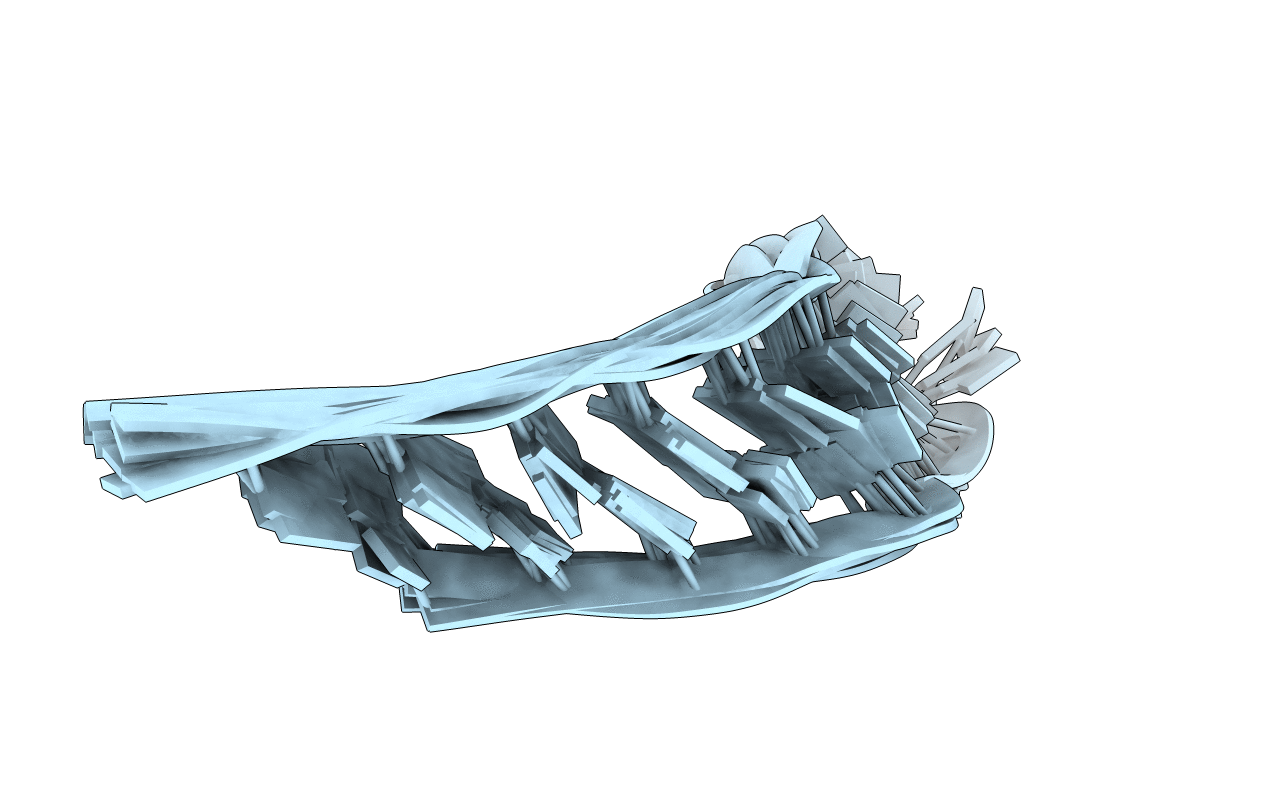 7BFX image