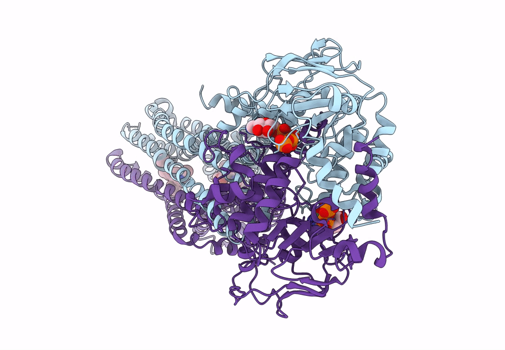 7BG4 image