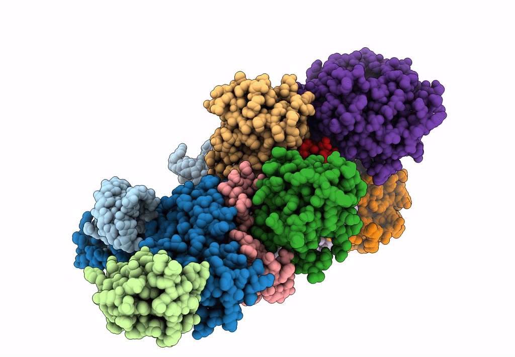 7BGB image
