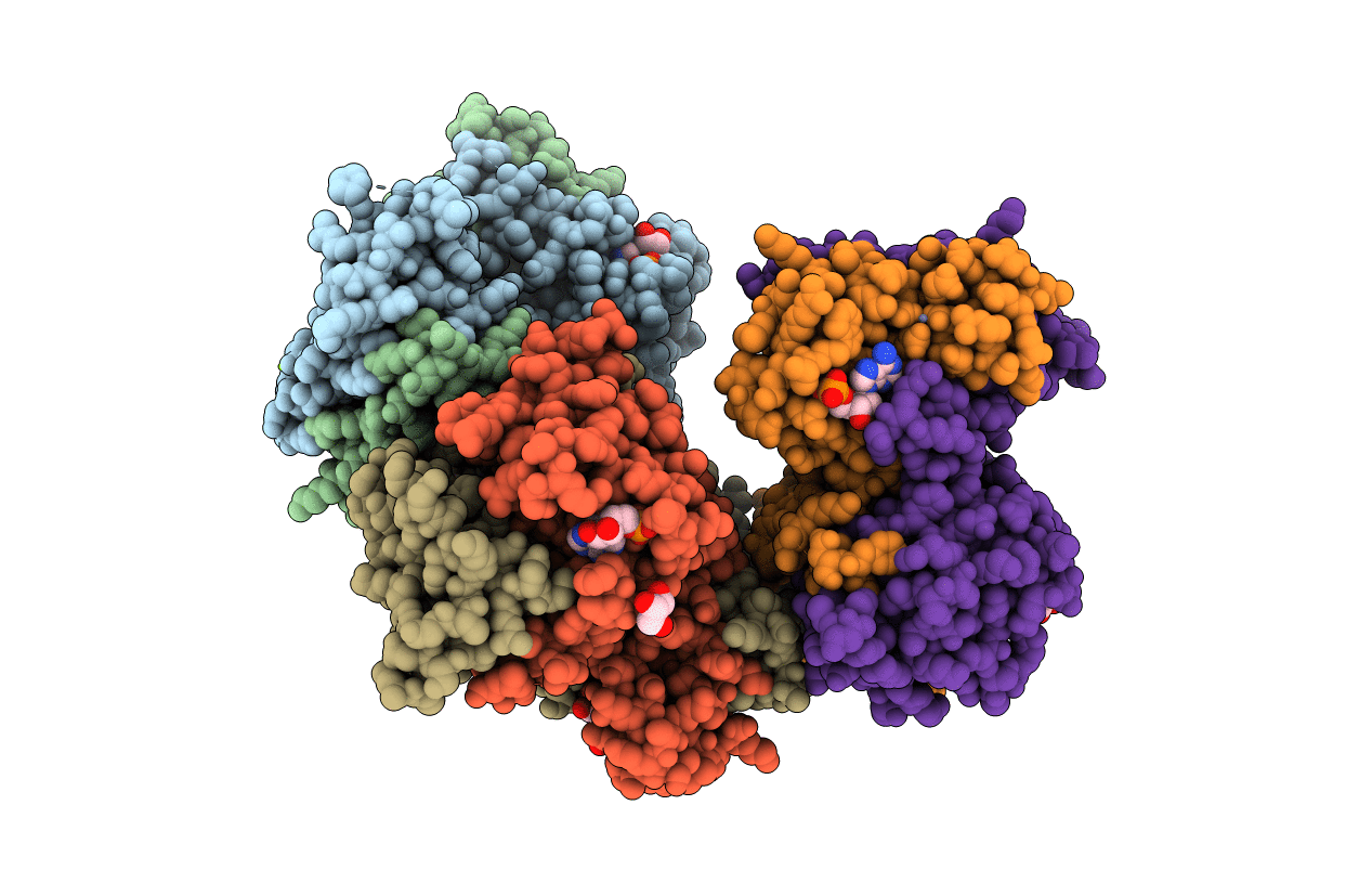 7BGN image